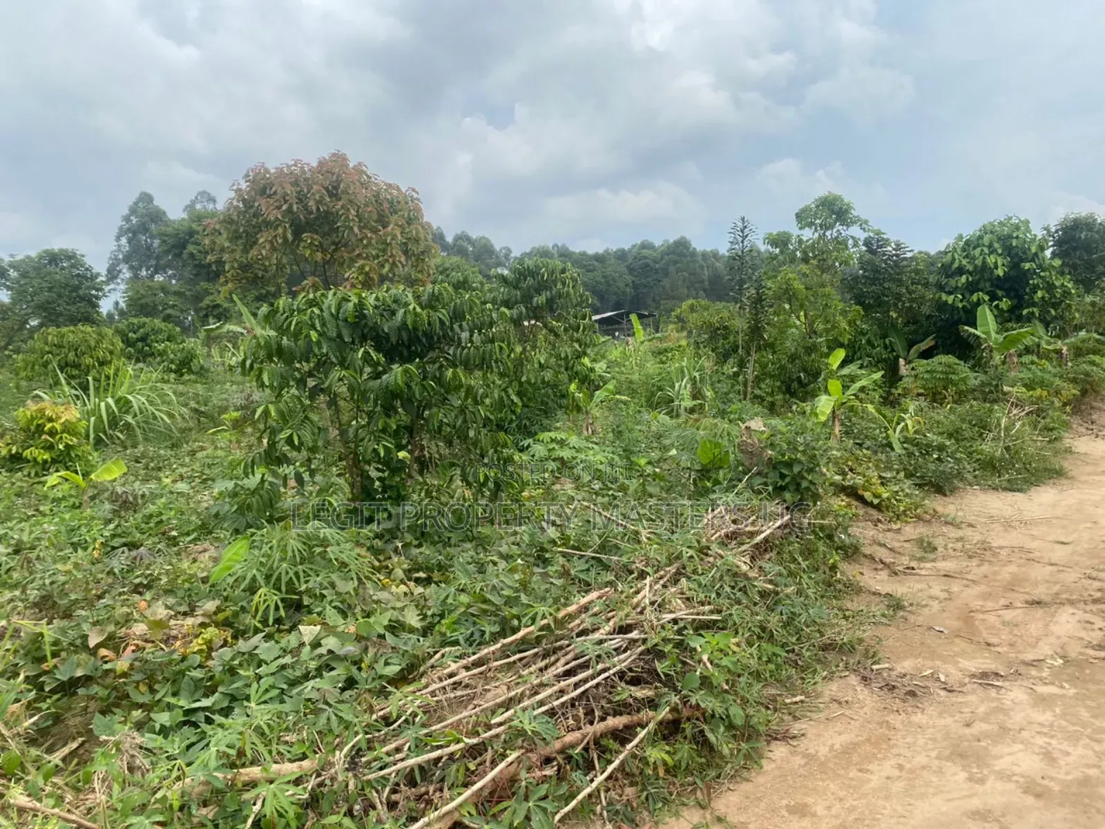 Land in Buwaya at a Favourable Price