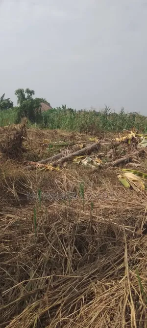 Plot's for Sale in Busiika