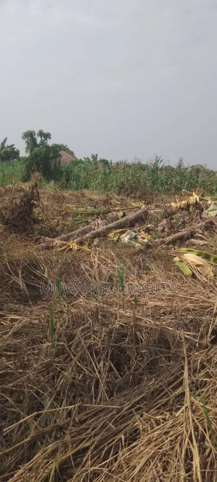 Plot's for Sale in Busiika