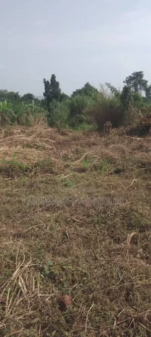 Plot's for Sale in Busiika