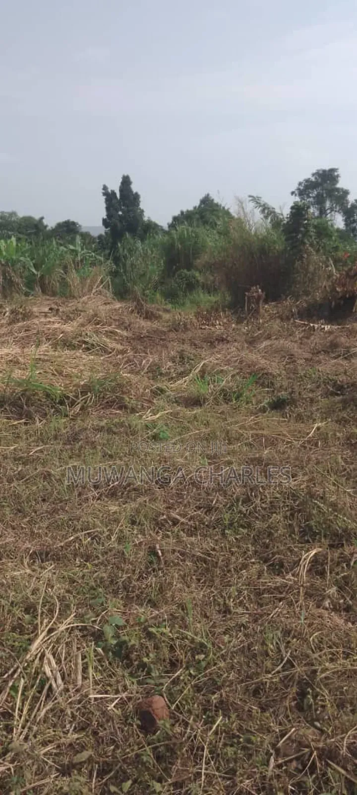 Plot's for Sale in Busiika