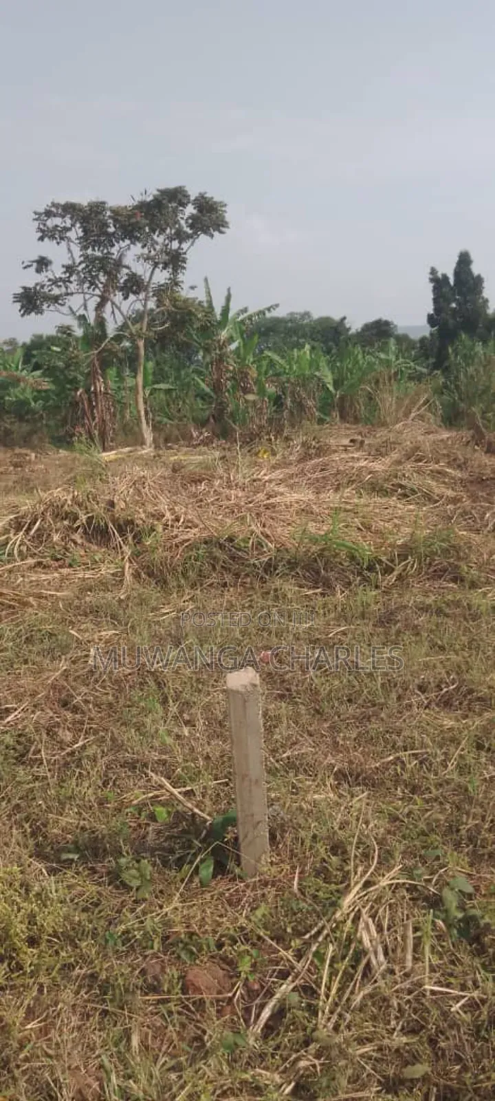 Plot's for Sale in Busiika