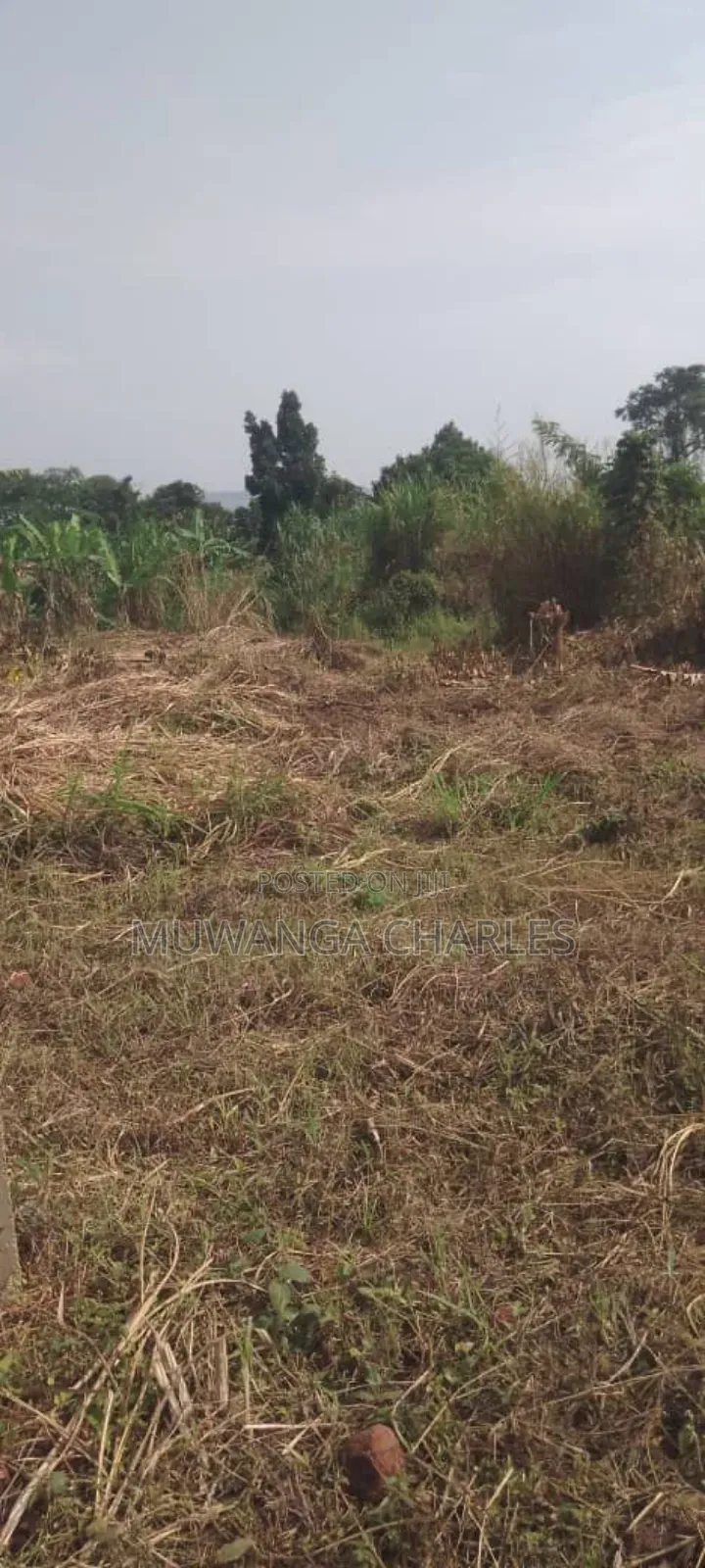 Plot's for Sale in Busiika