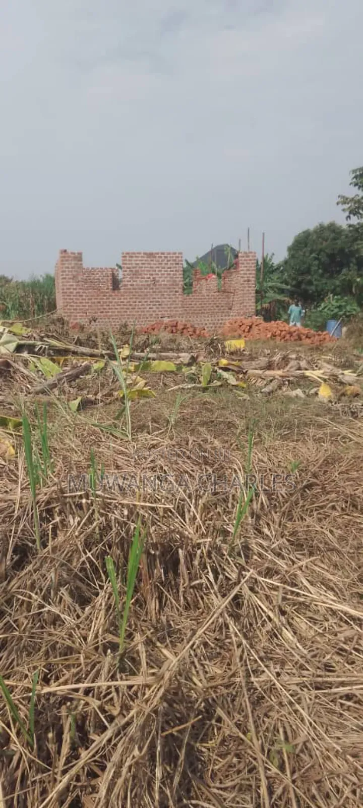 Plot's for Sale in Busiika