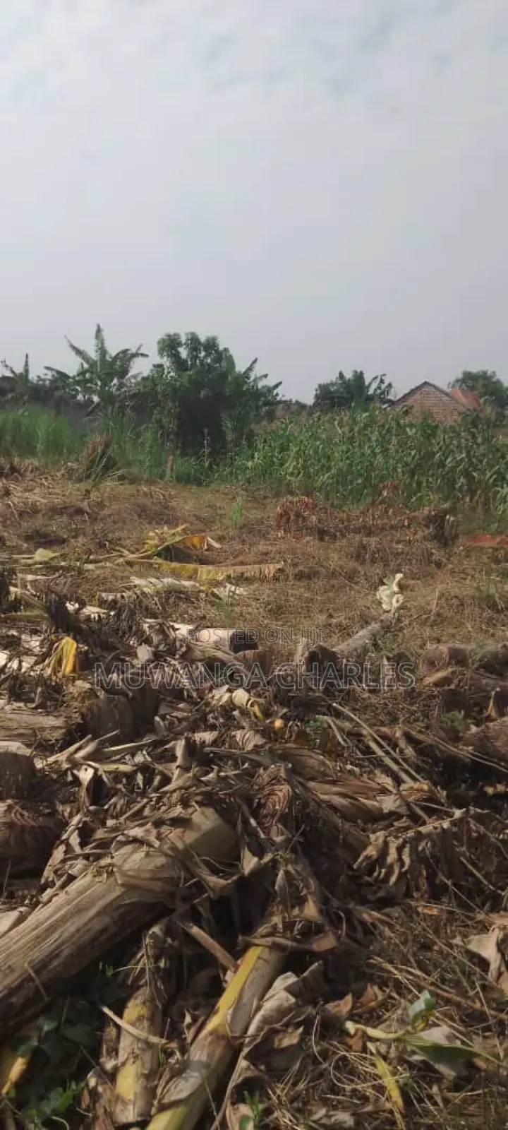 Plot's for Sale in Busiika