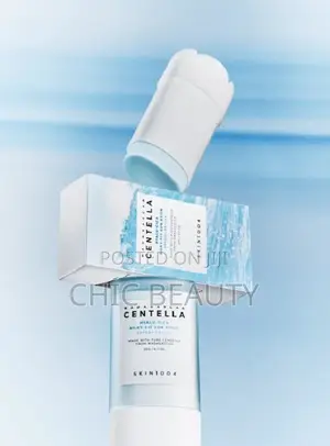 SKIN 1004 Madagascar Centella Hyalu-Cica Silky-Fit Sun Stick