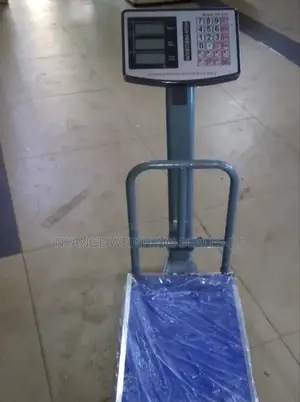 TCS Stainless Steel Weighing Scale for Food Store Weigh Scale200kg