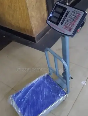Heavy Duty Weighing Scale 200kg Weigh Stainless Steel Weighing Scale