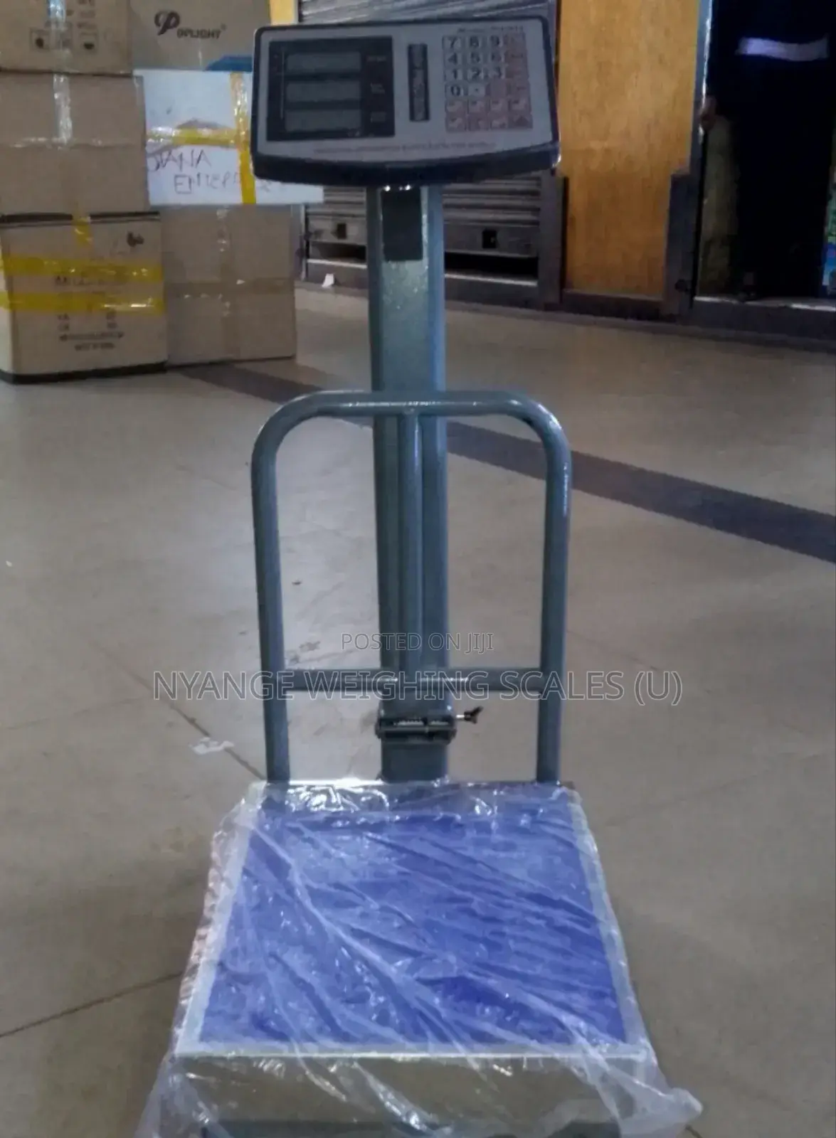 FSO1 200kg High Accuracy Platform Weighing Machine