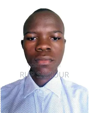 Mechanical Engineer