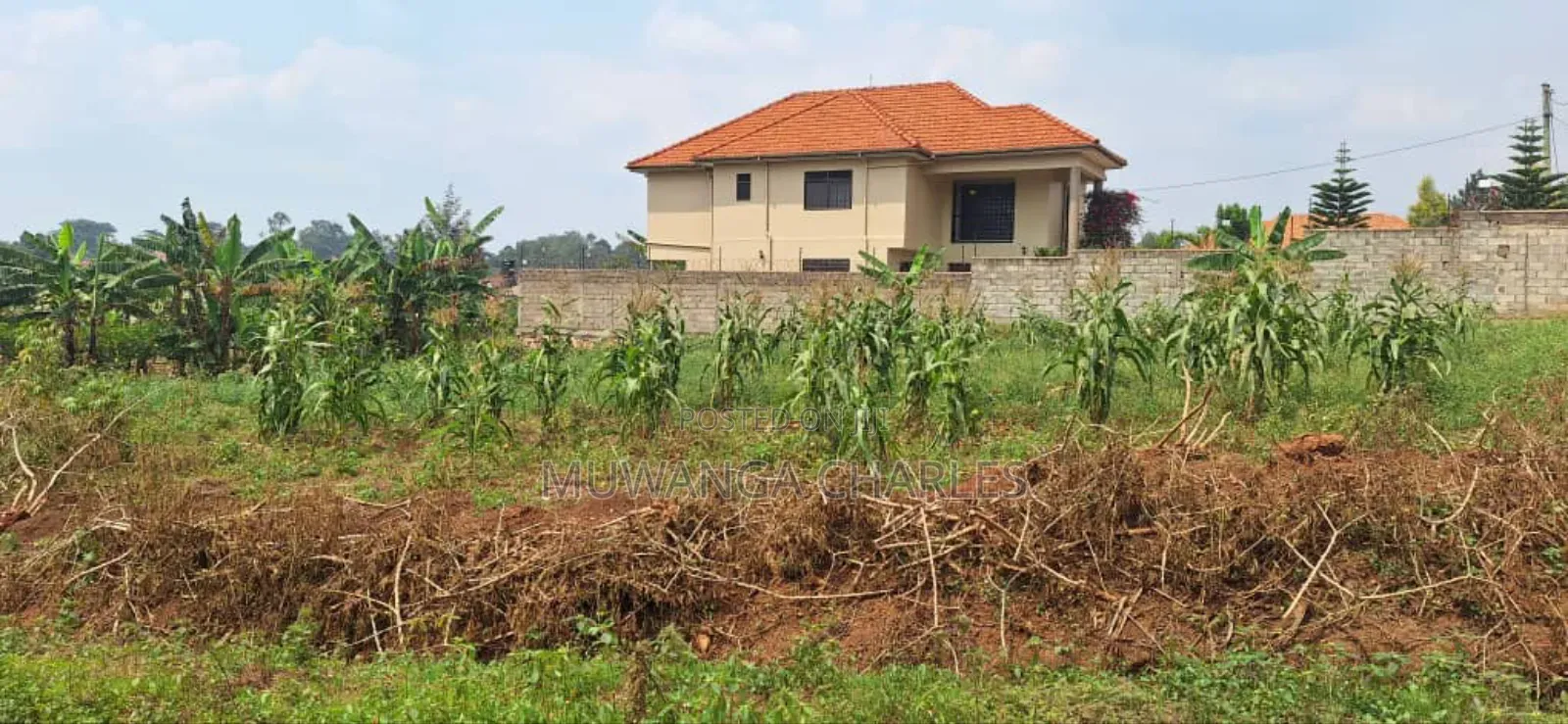 100by100ft Plot for Sale in Bulindo