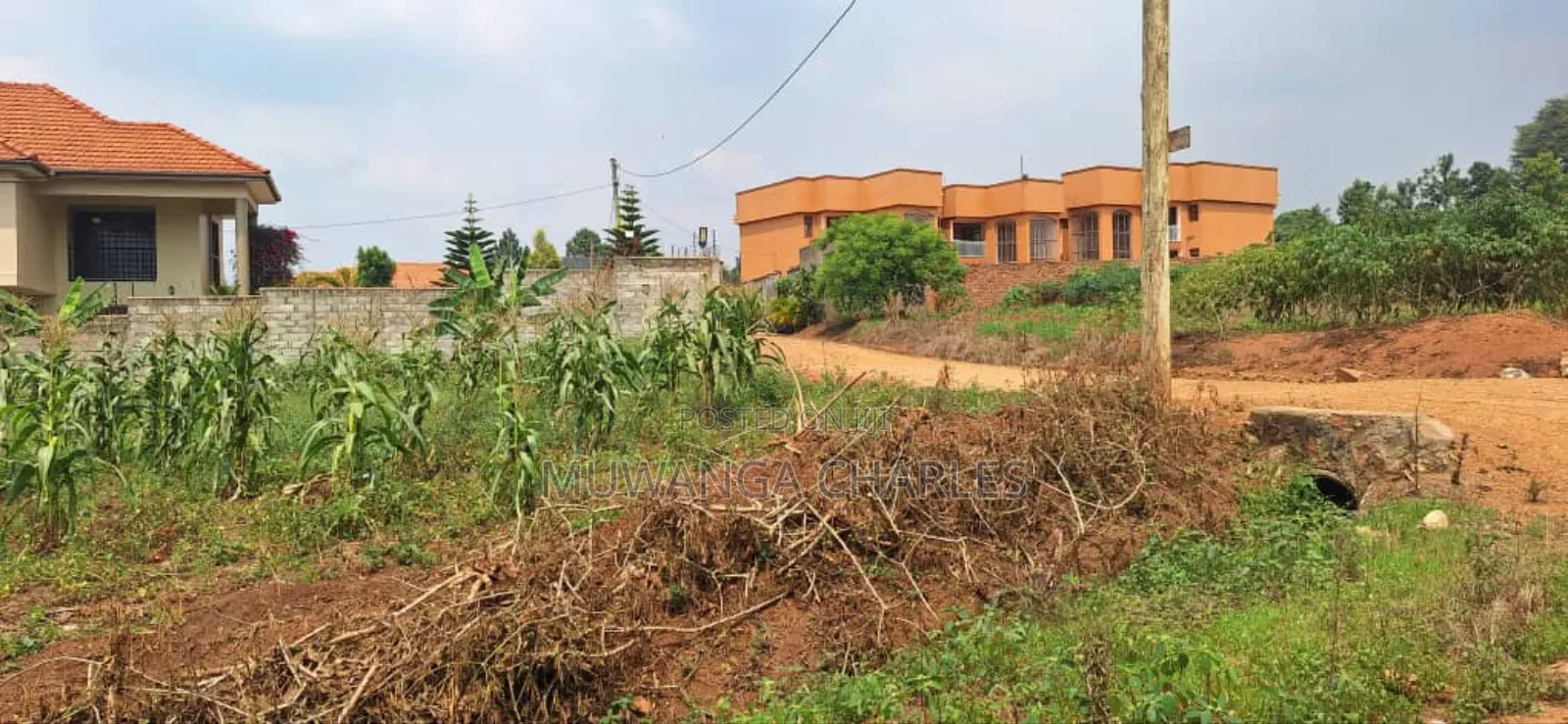 100by100ft Plot for Sale in Bulindo