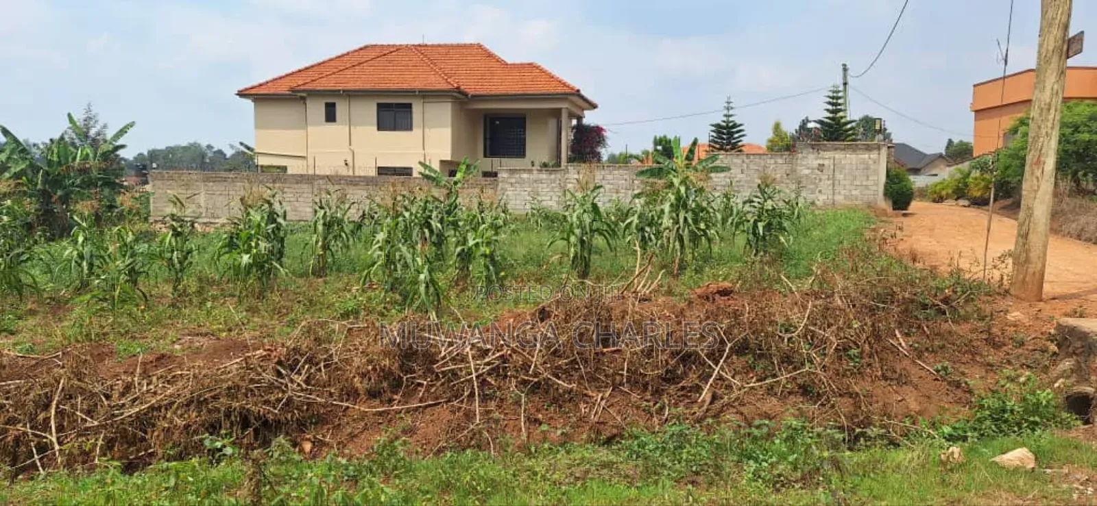 100by100ft Plot for Sale in Bulindo