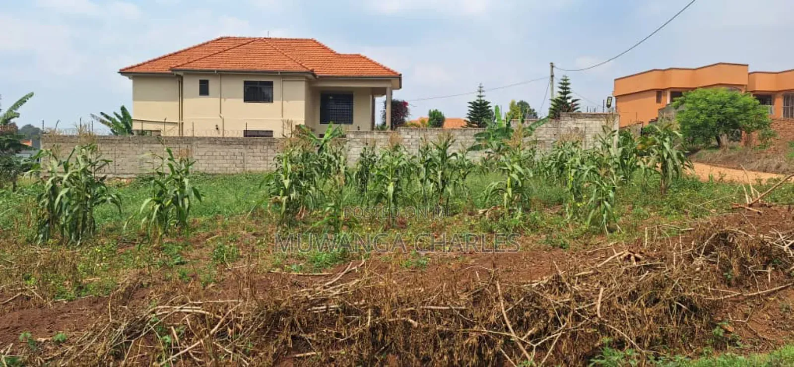 100by100ft Plot for Sale in Bulindo