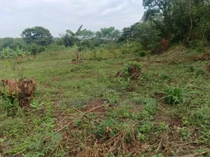 Plot's for Sale in Nangambo