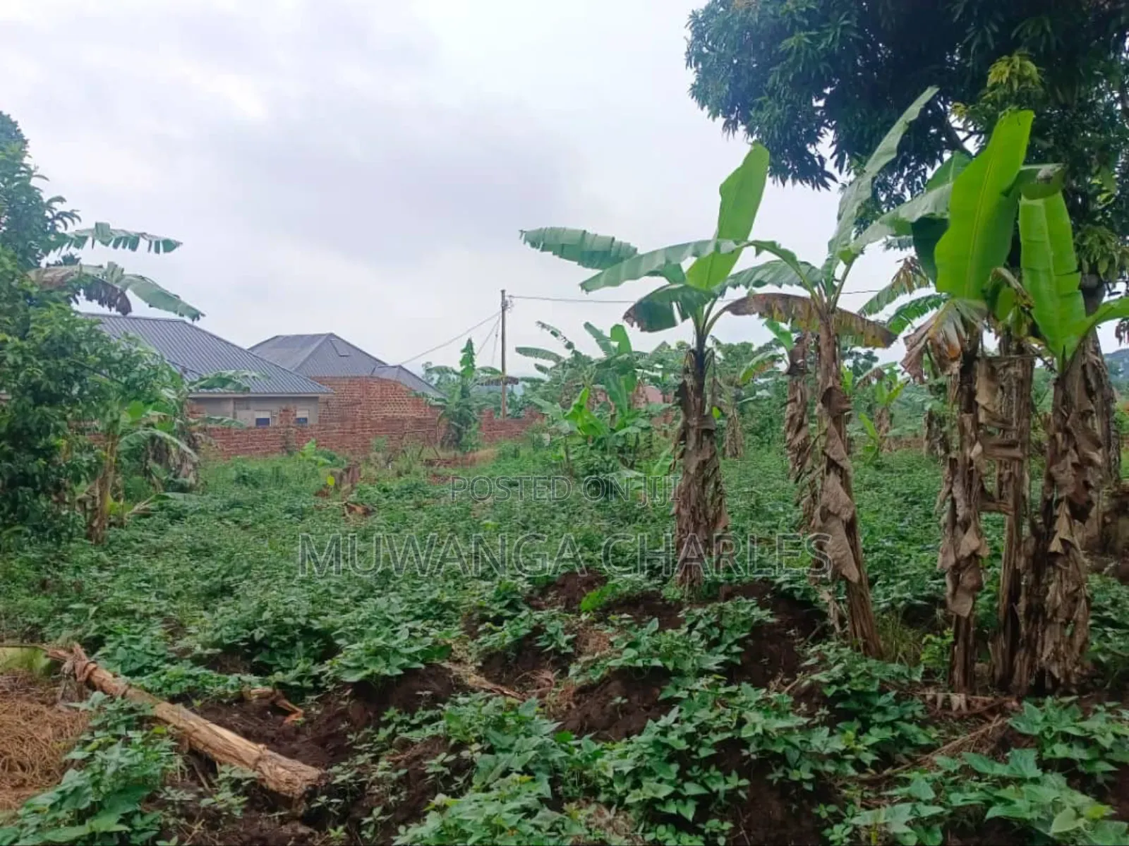 Plot's for Sale in Nangambo