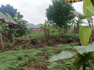 Plot's for Sale in Nangambo