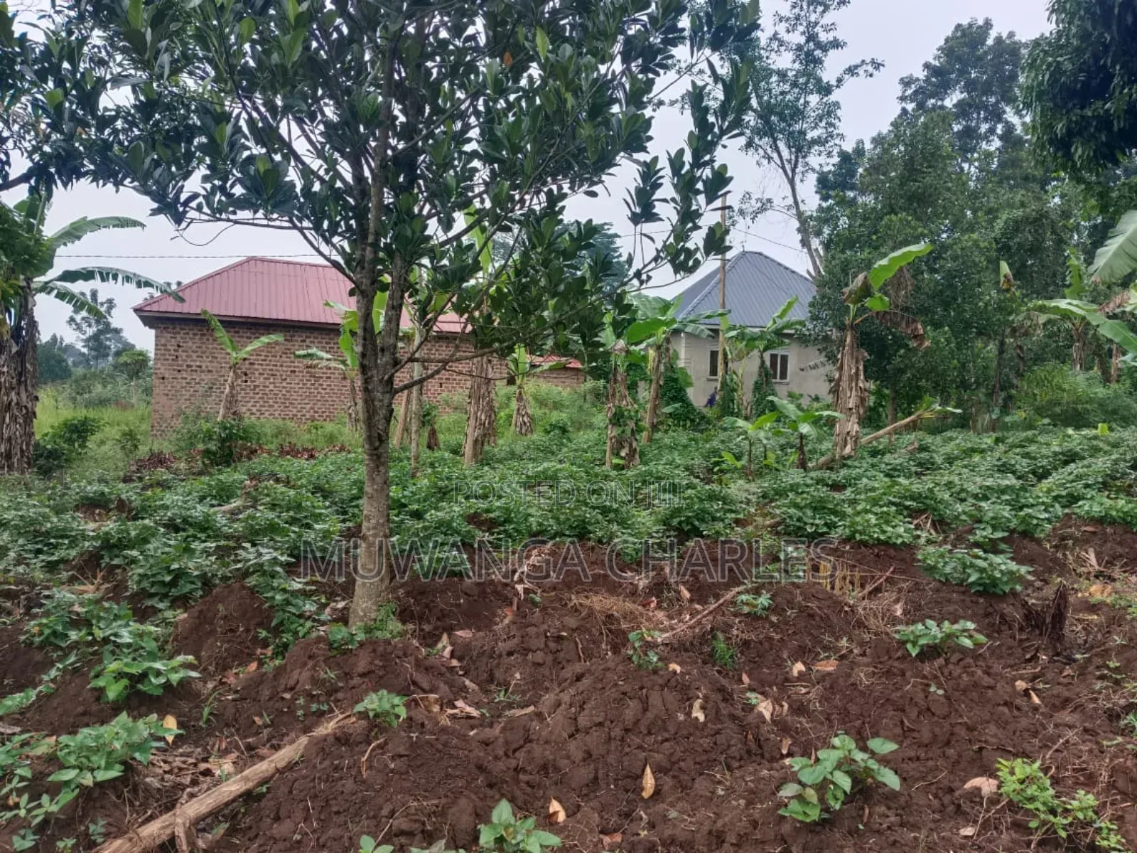 Plot's for Sale in Nangambo