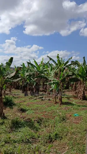 Plot's for Sale in Gayaza