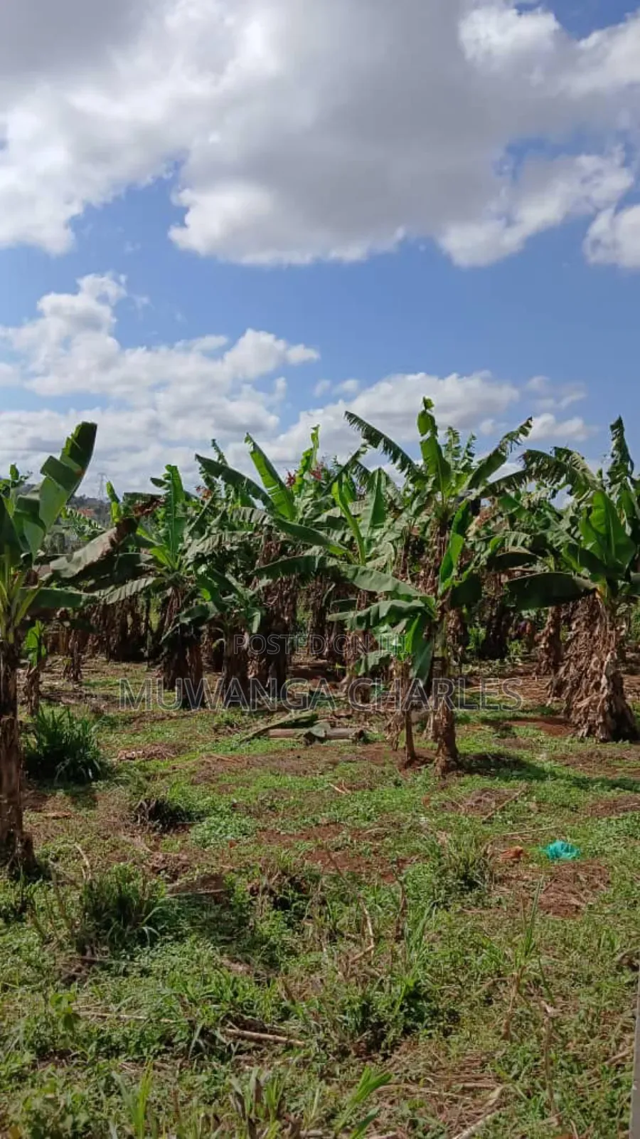 Plot's for Sale in Gayaza