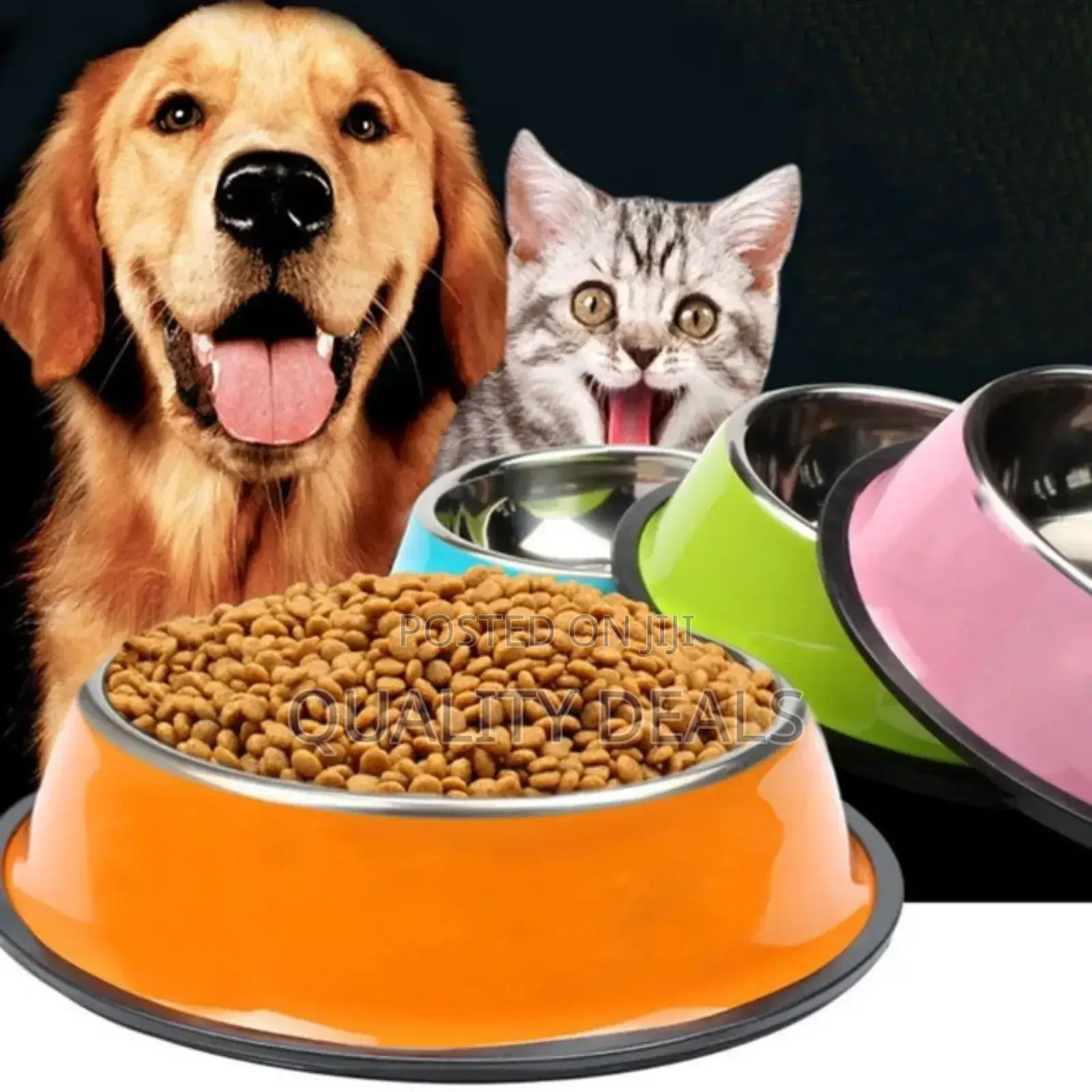 Pet Stainless Steel Feeding Bowl