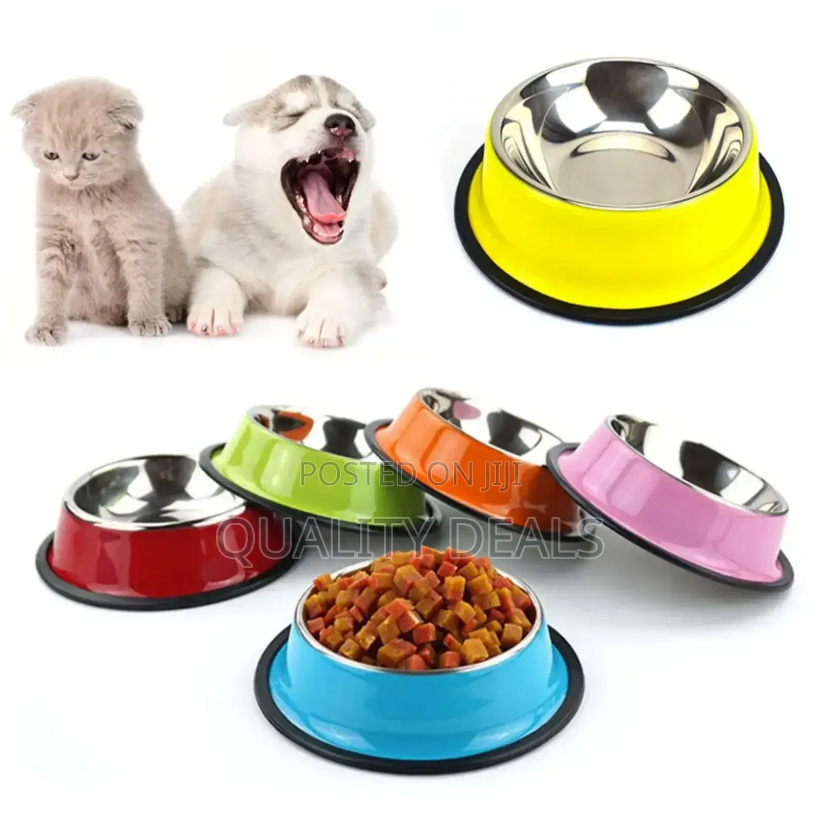 Pet Stainless Steel Feeding Bowl