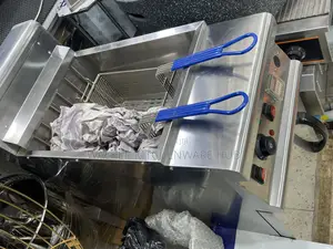30L Standalone Commercial Electric Deepfryer With a Store