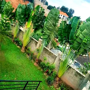 6bdrm Block of Flats in Buziga Munyonyo, Central Division for sale
