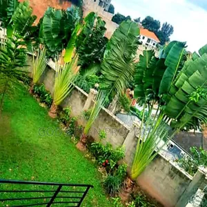 6bdrm Block of Flats in Buziga Munyonyo, Central Division for sale