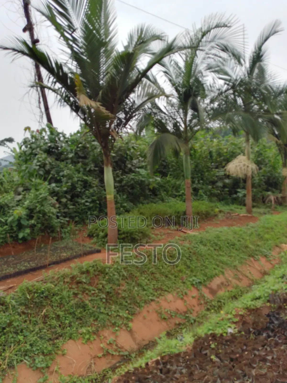 Huge Land for Sale