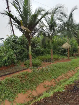 Huge Land for Sale
