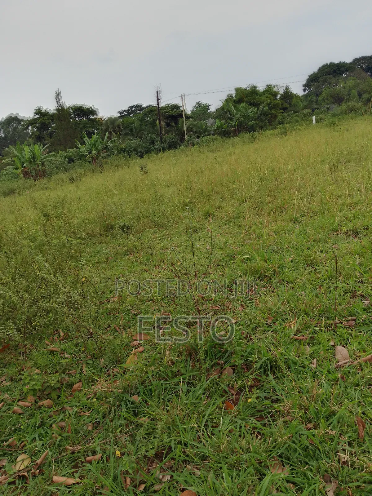 Huge Land for Sale