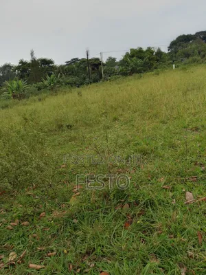 Huge Land for Sale