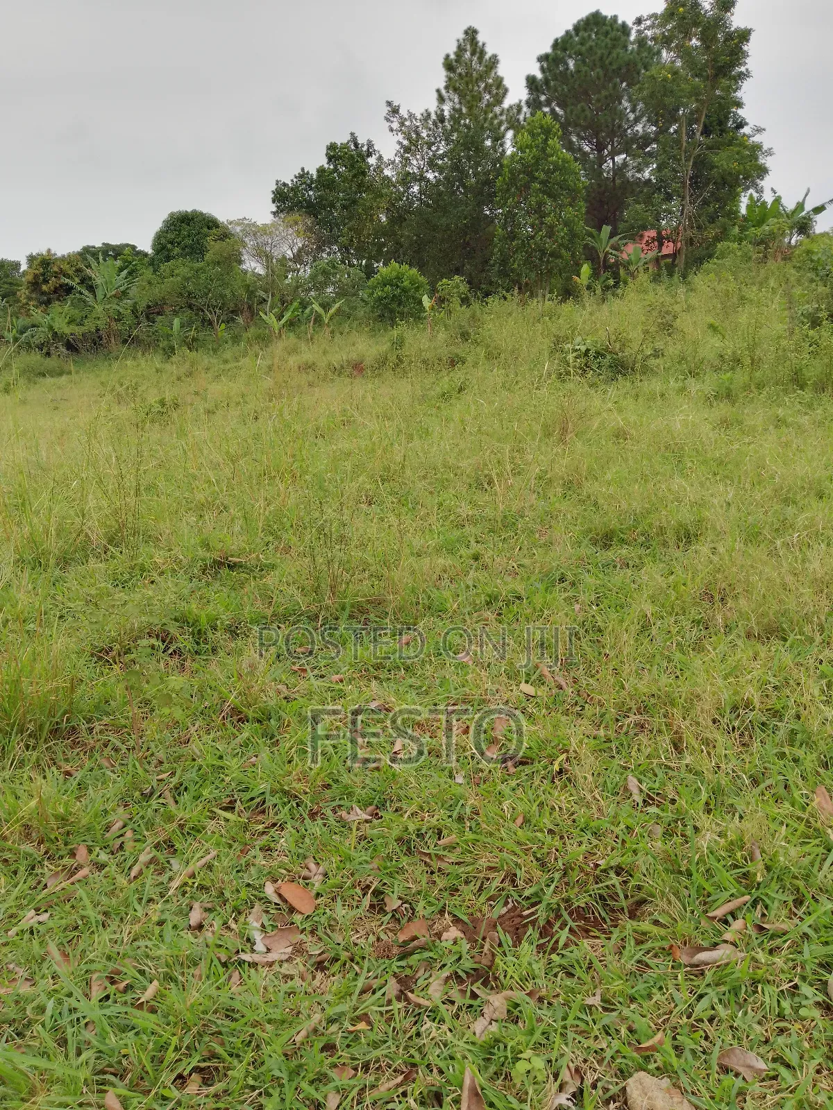 Huge Land for Sale