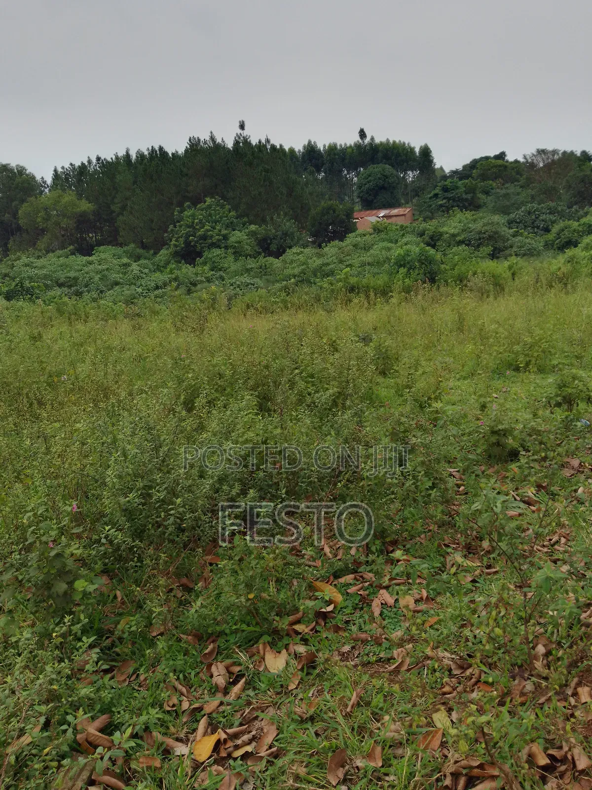 Huge Land for Sale