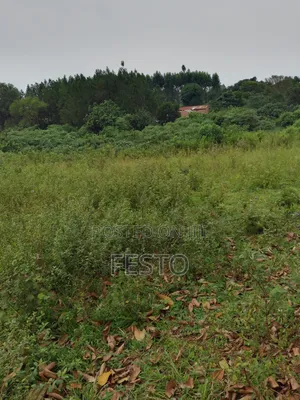Huge Land for Sale