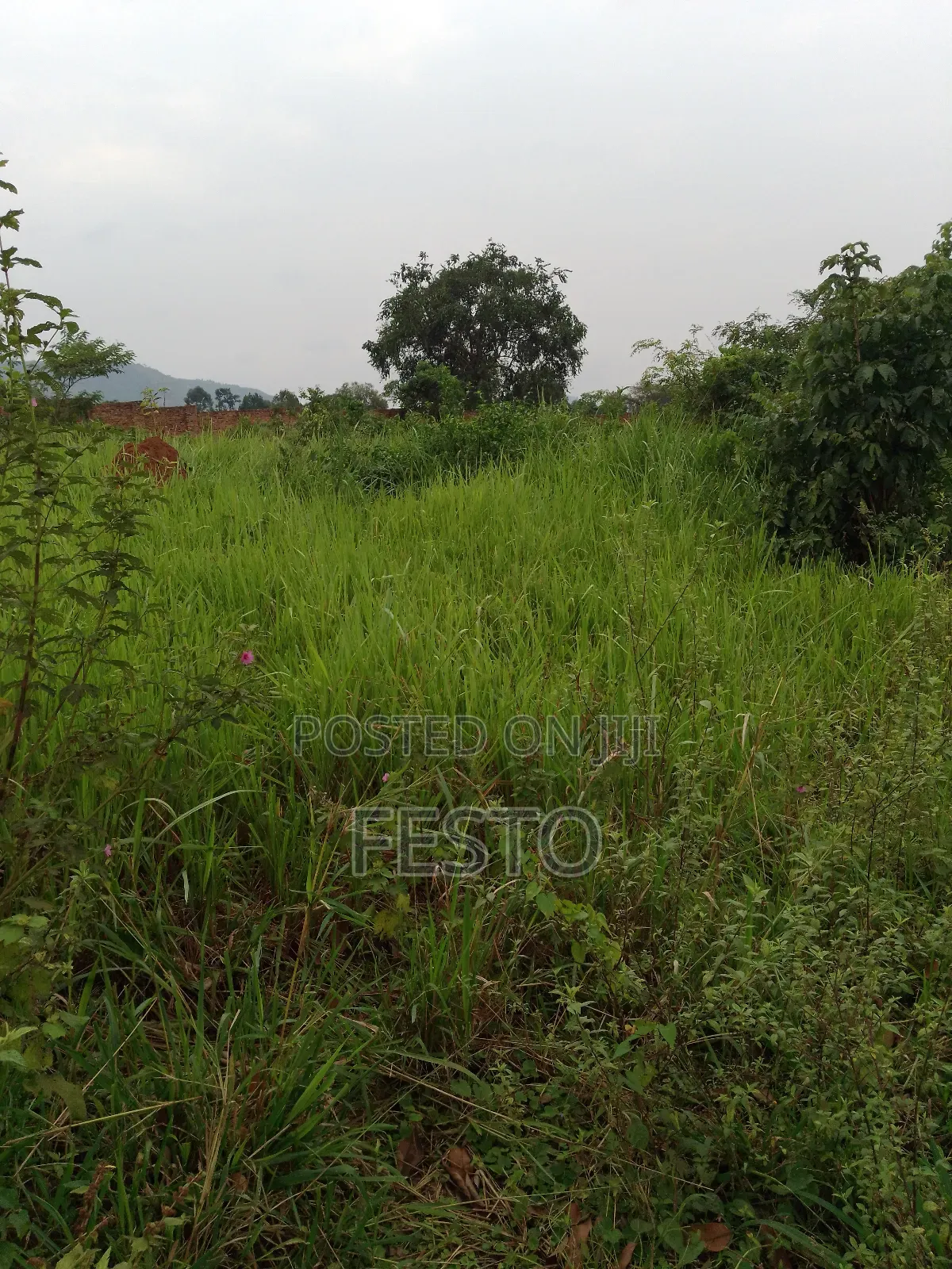 Huge Land for Sale
