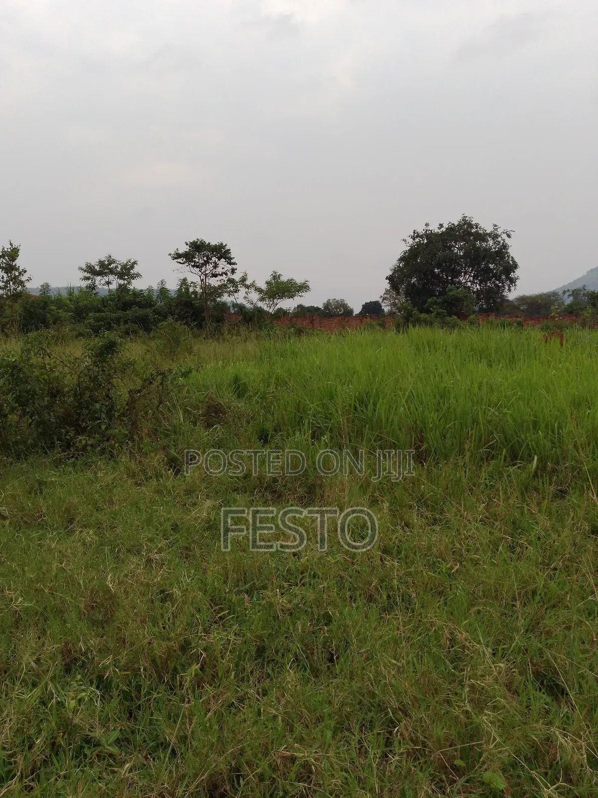 Oil City Land