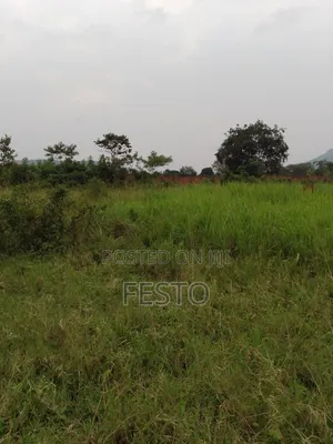 Oil City Land