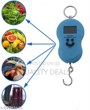 Mini Portable Digital Hanging Scale 50kg