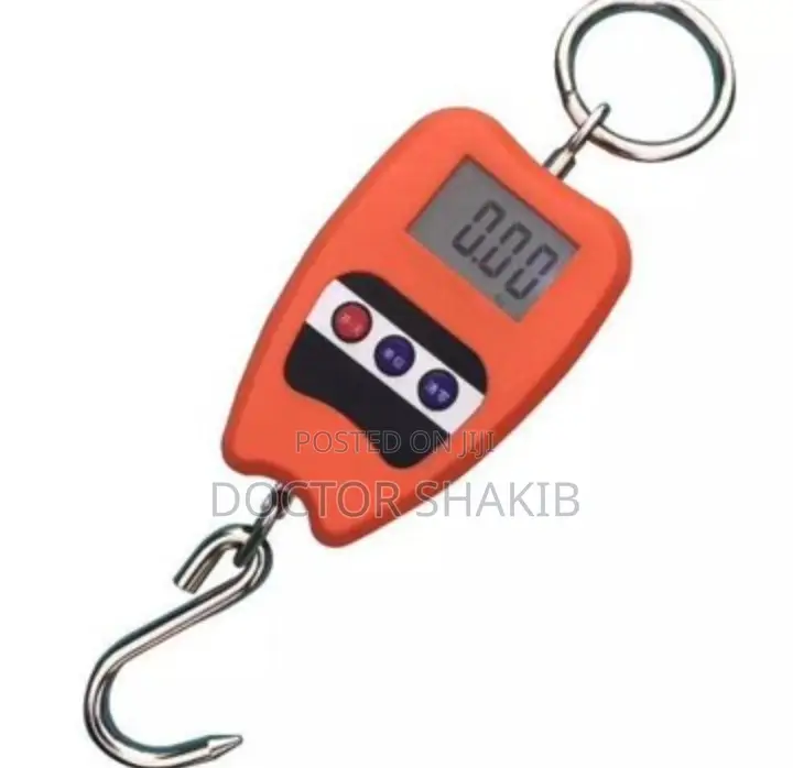 New 100kg Mini Hanging Crane Scale