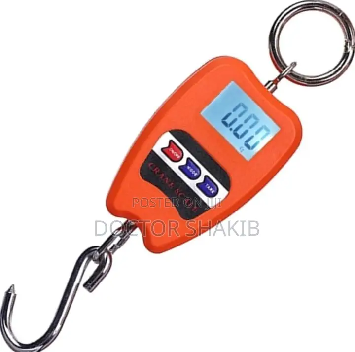 New 100kg Mini Hanging Crane Scale
