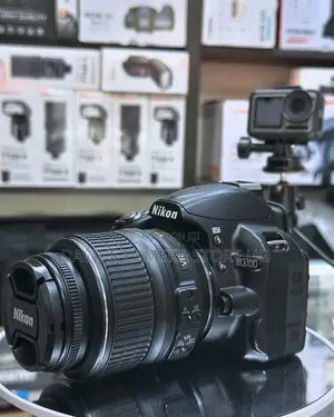 Nikond3100