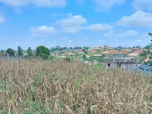 Photo - Estate Plots for Sale at Sonde-Hill-View Estate