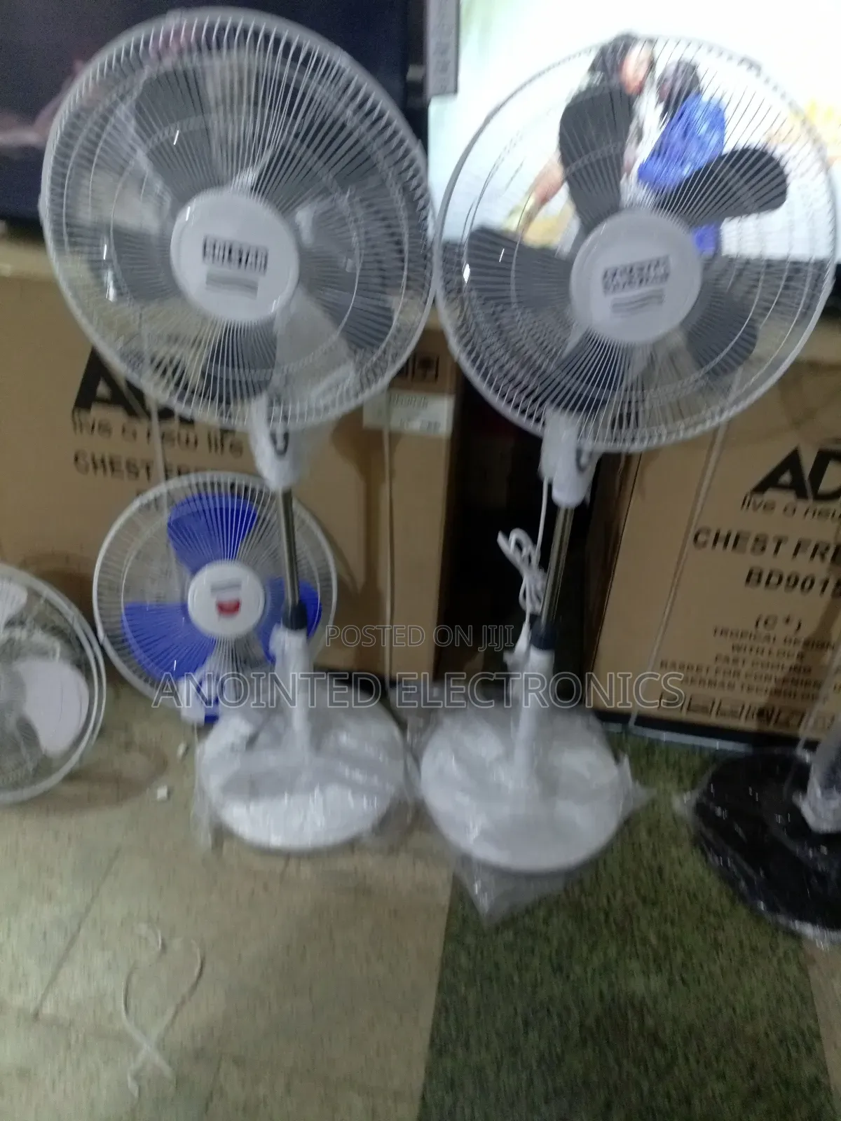 Solster Stand Fans
