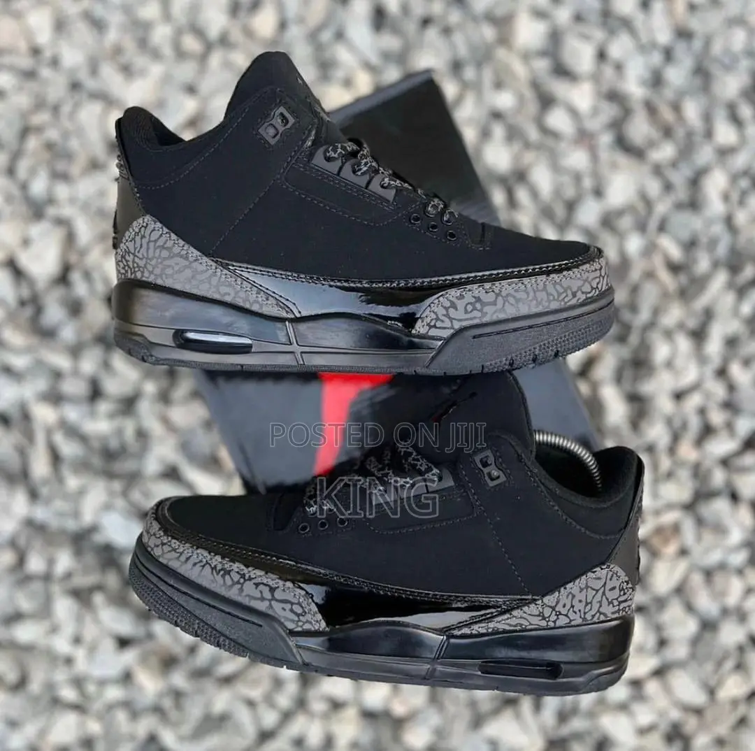 Air Jordan 3 Black Cat'
