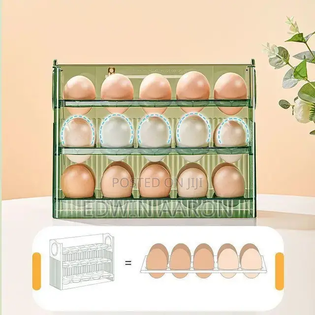 Egg Storage Box