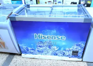 Beyi Powa Hisense 301literes Display Chest Freezer