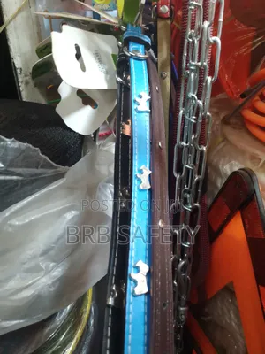Puppy Collars