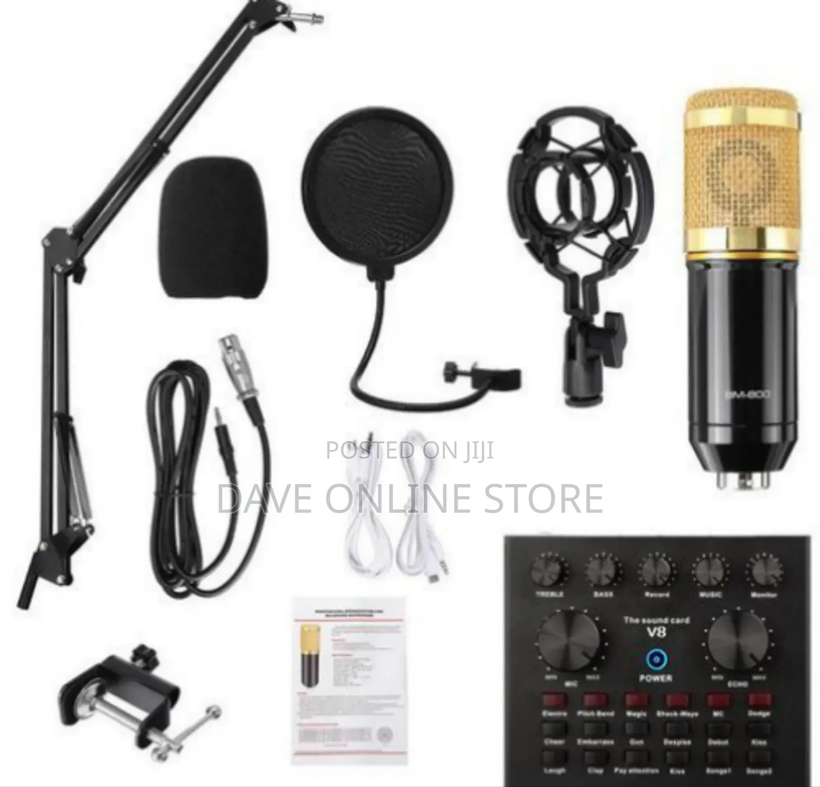 Professional Condenser Microphone